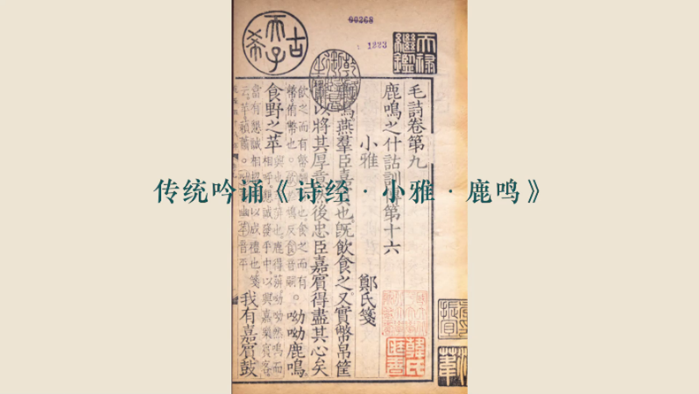 图片15.png